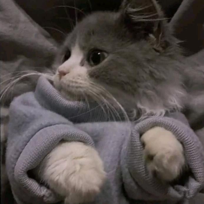 只盖螺旋小臭被