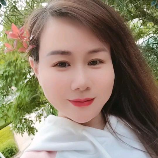 雨蝶