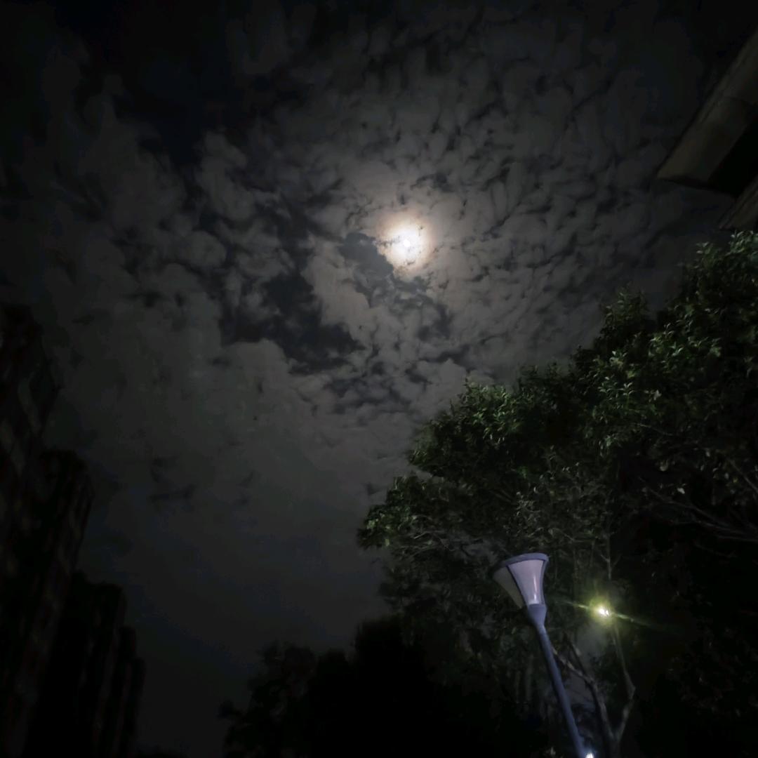 钢结构材料
