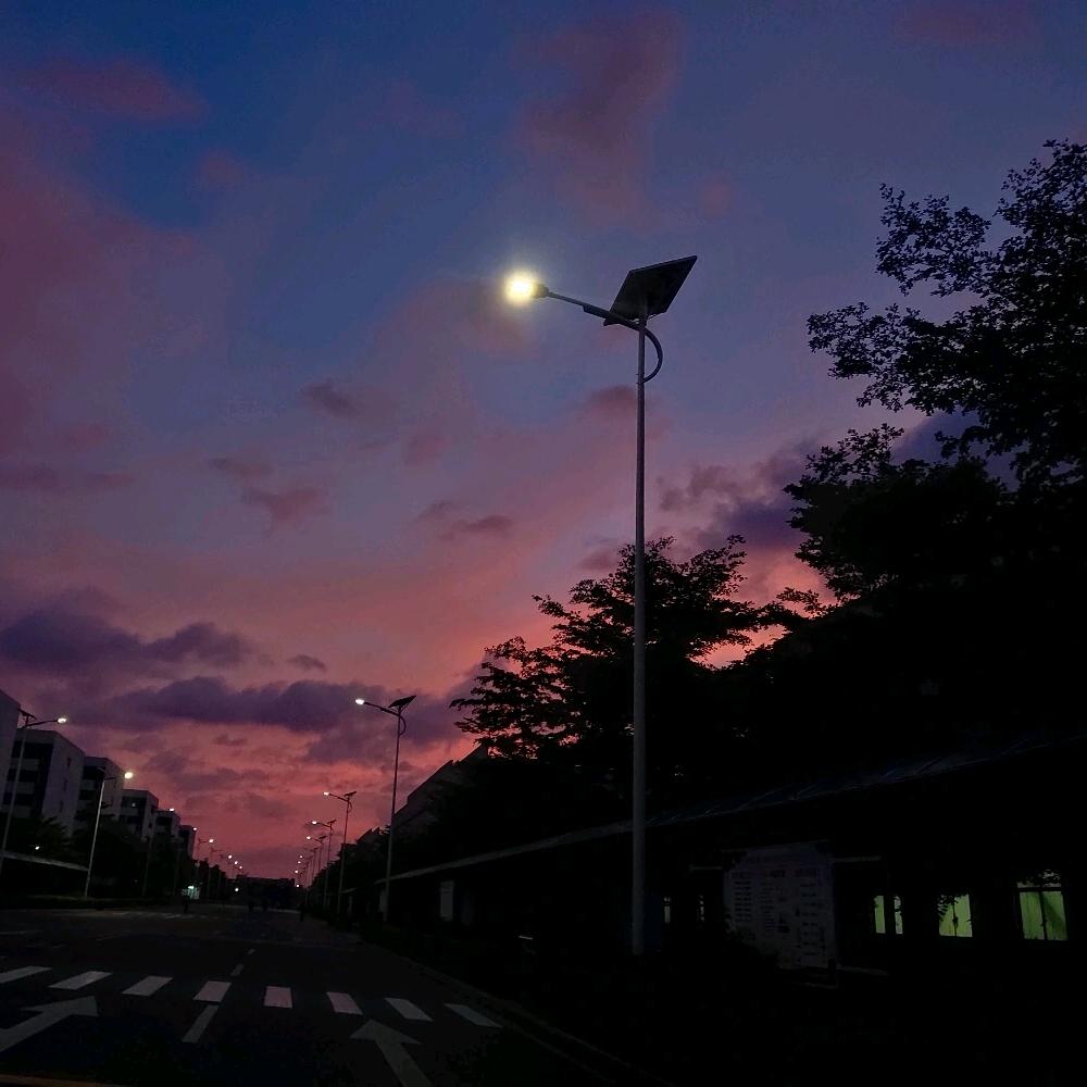 陆泽月