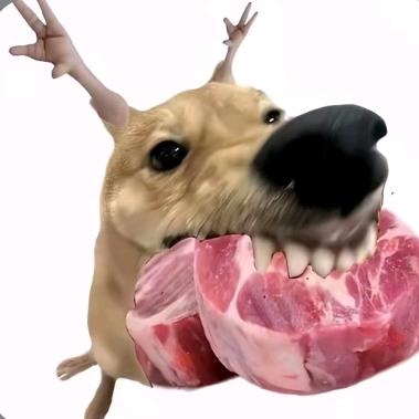 布丁