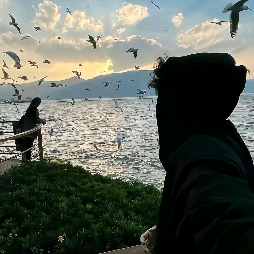 老婆逛街我赚钱