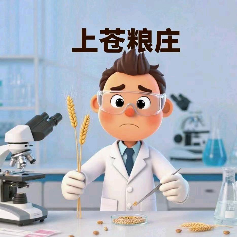 石磨法医老王