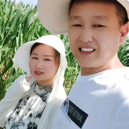用户7623250039641人生如茶