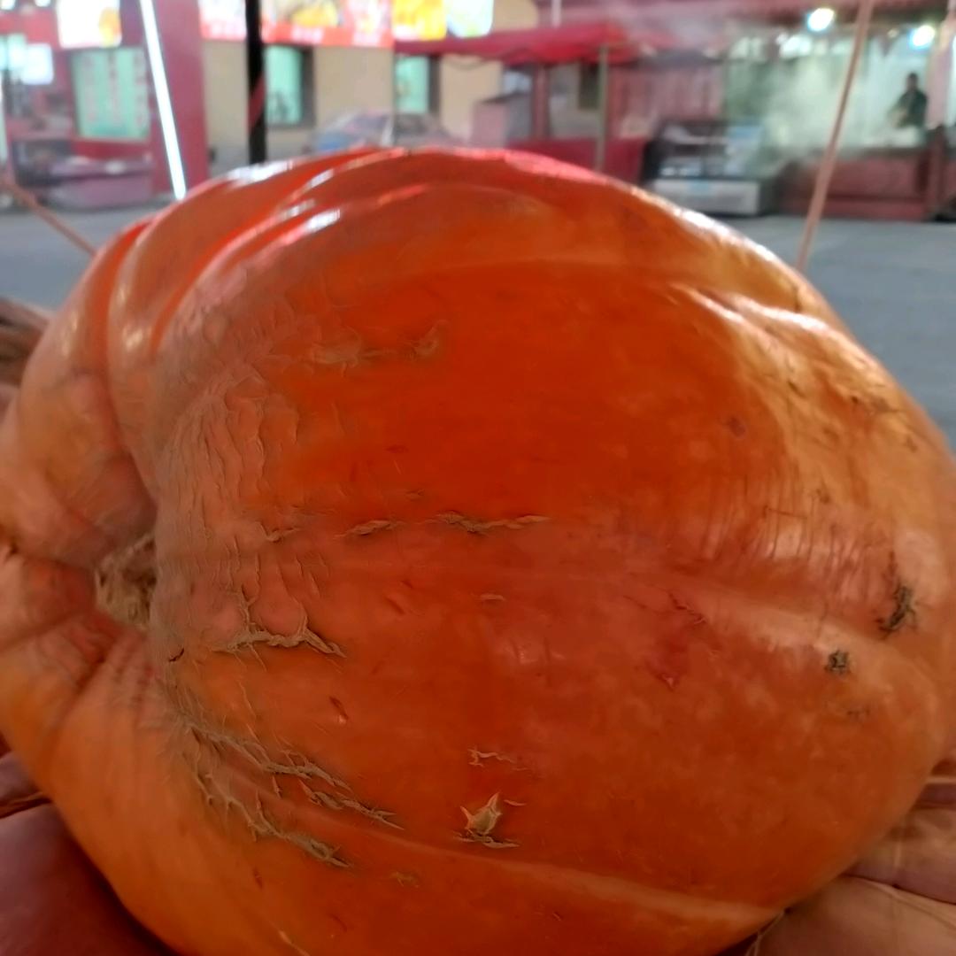 70后单身姐姐