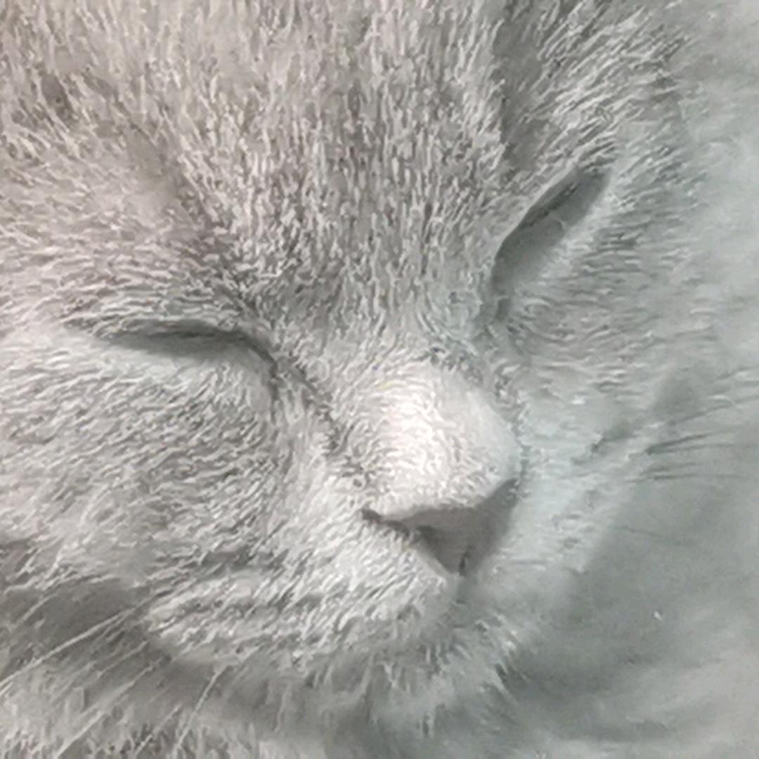 556666
