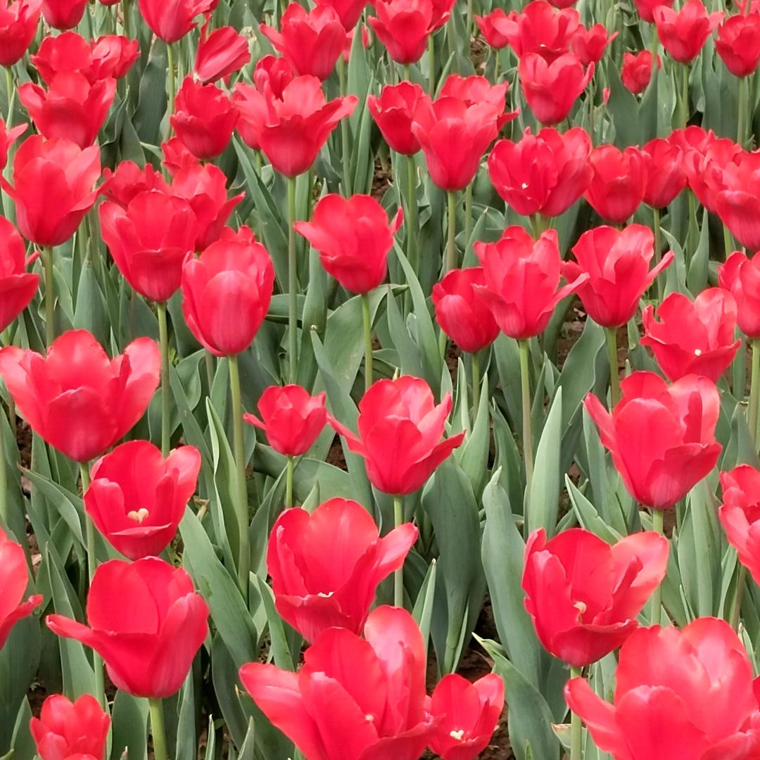 快乐每一天336688