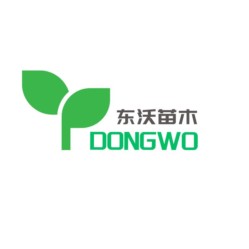 东沃苗木专营店