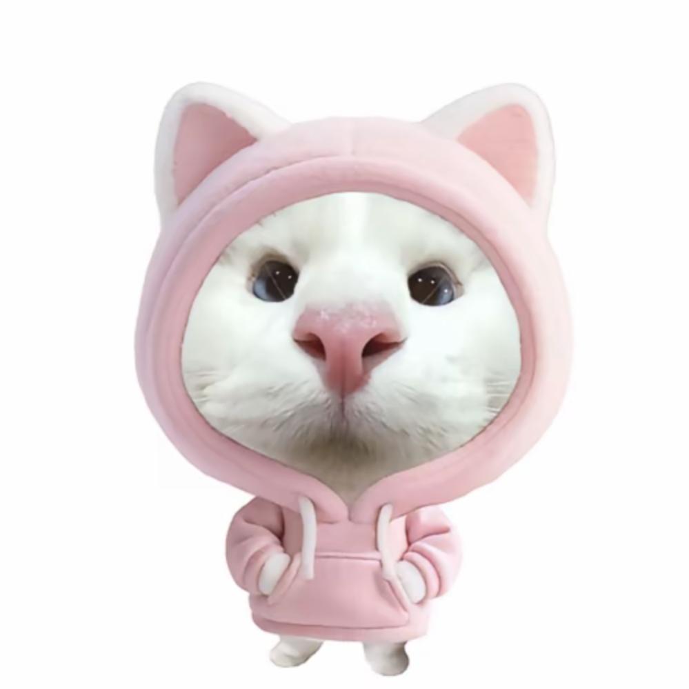 ៸៸᳐小猫៸៸᳐ ੭