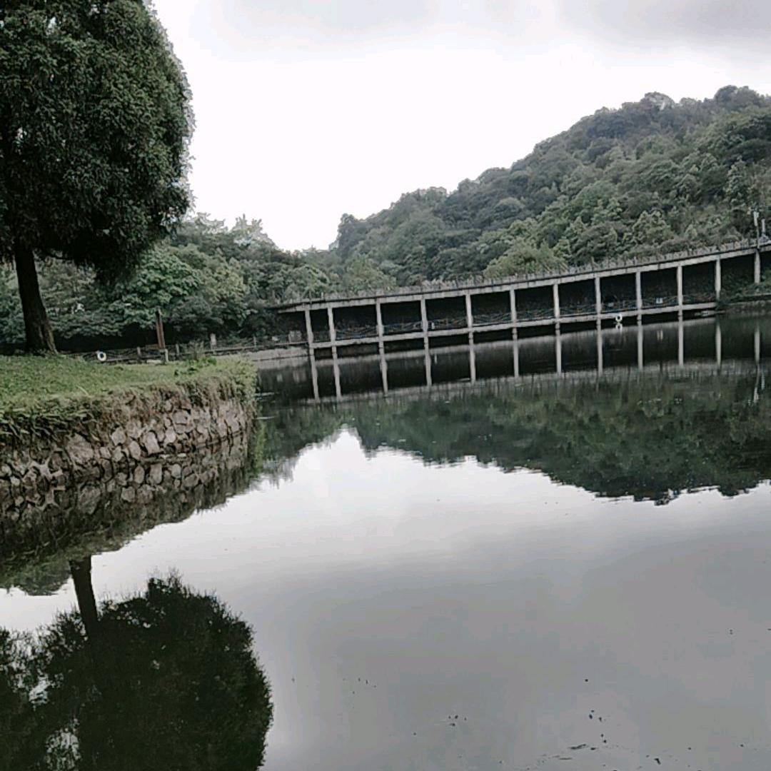 陆小凤