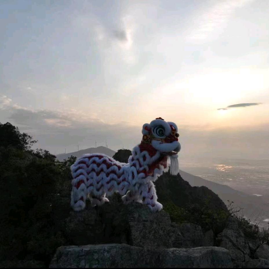 无妄生欢🤡