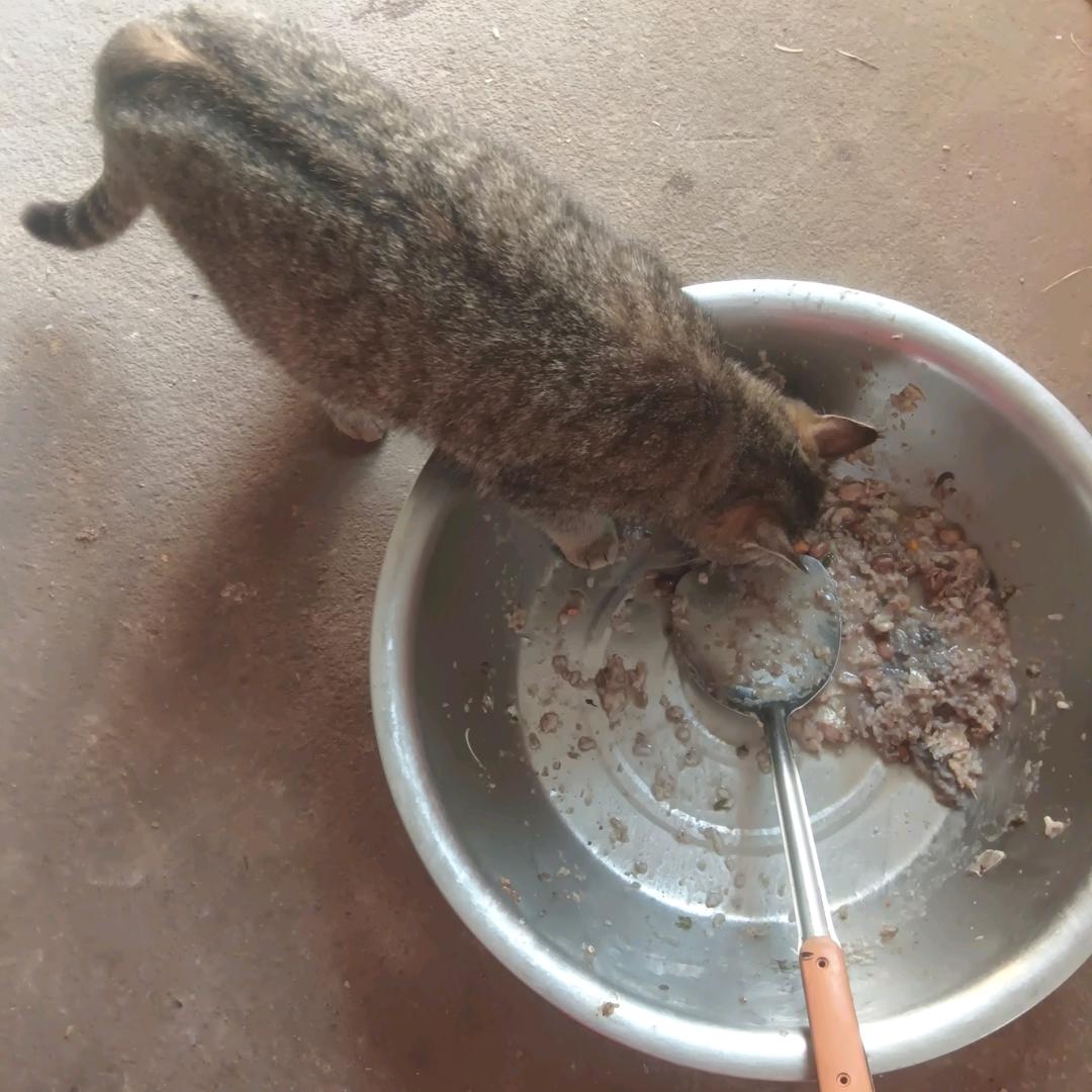 盱眙，雨过天晴