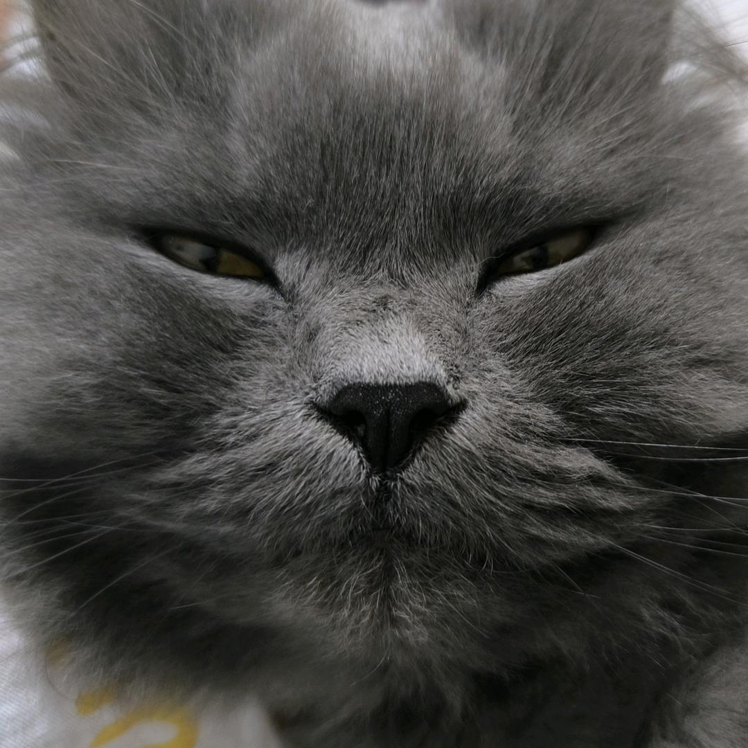 煜煜