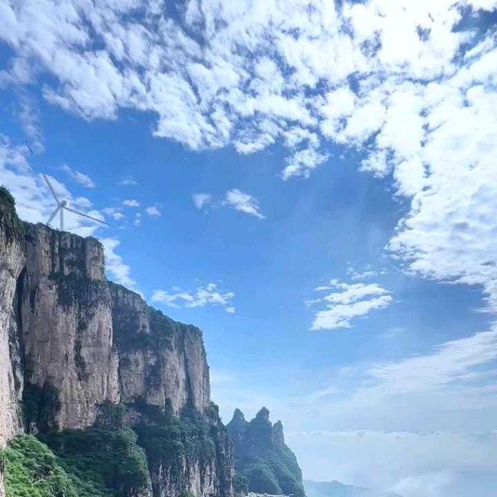 张