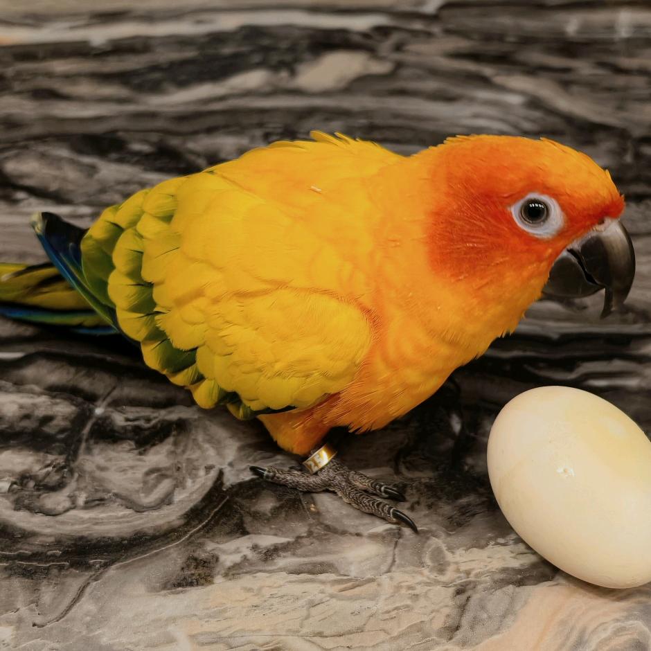 颜大颜二₅₂₀💞࿐