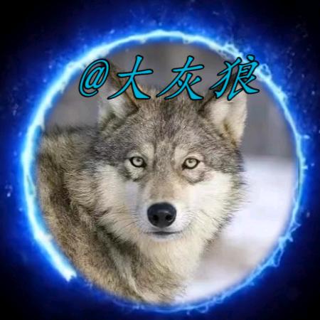 大灰狼🔥