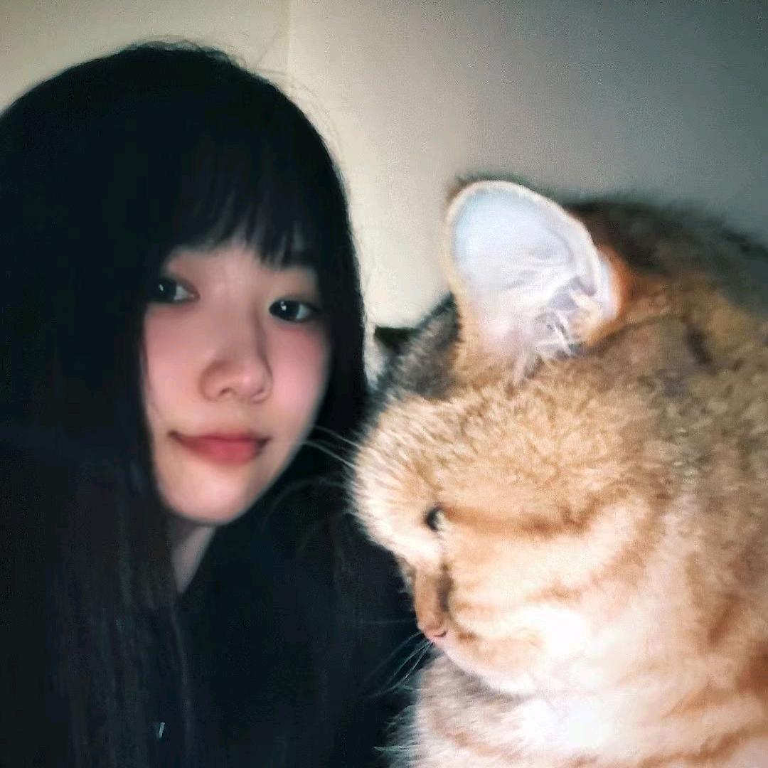 饭饭还想当Pro