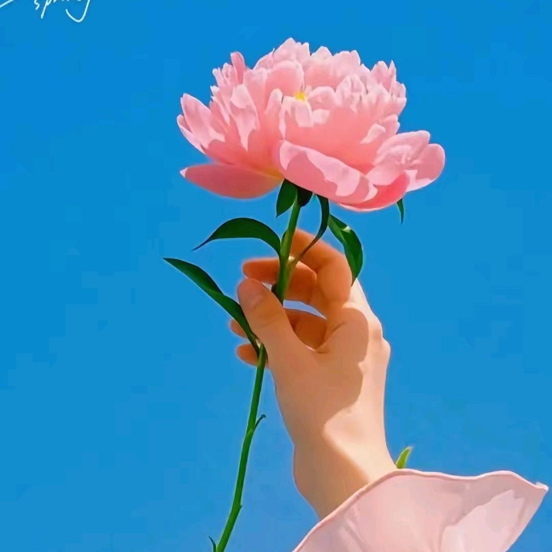 娜么好听