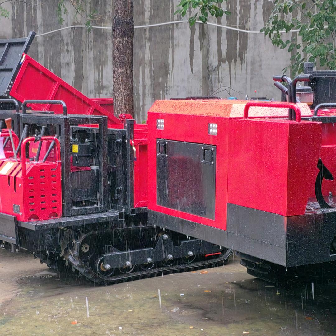 四川成都爬山虎生产源头厂家直销