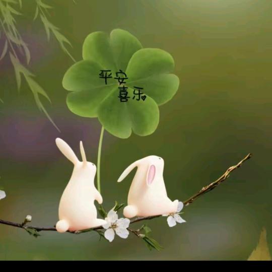 满水哥