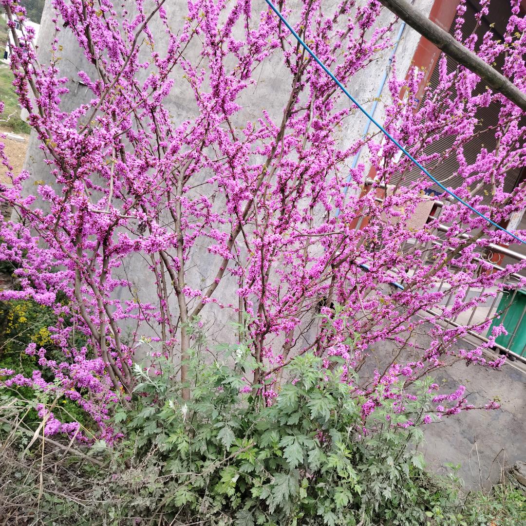 开心每一天