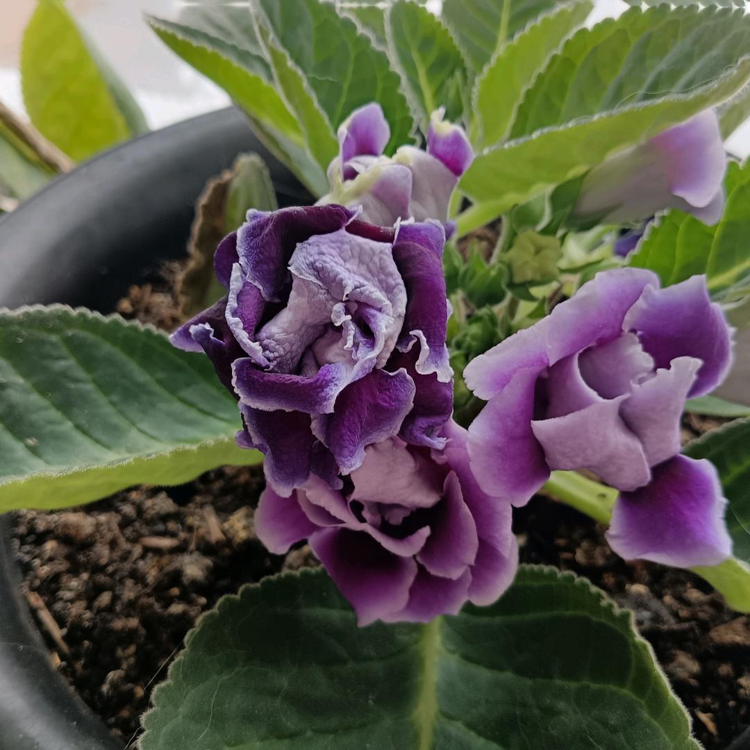 简单点，快乐点。