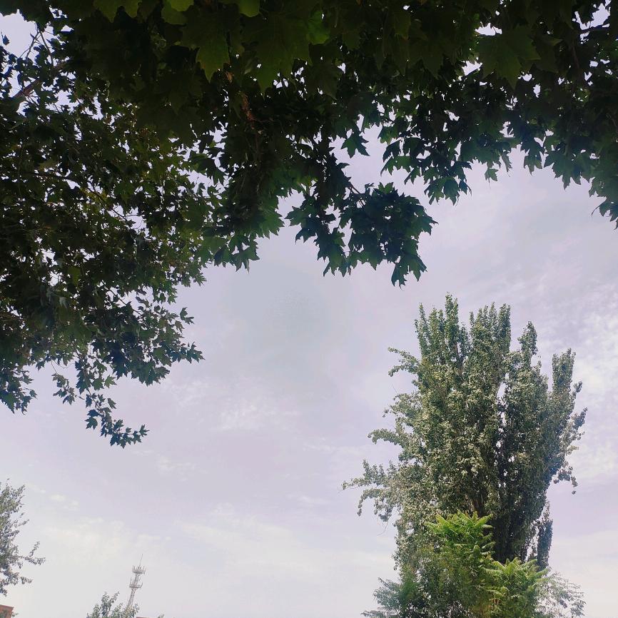 热宝好物分享~🔥🔥🔥