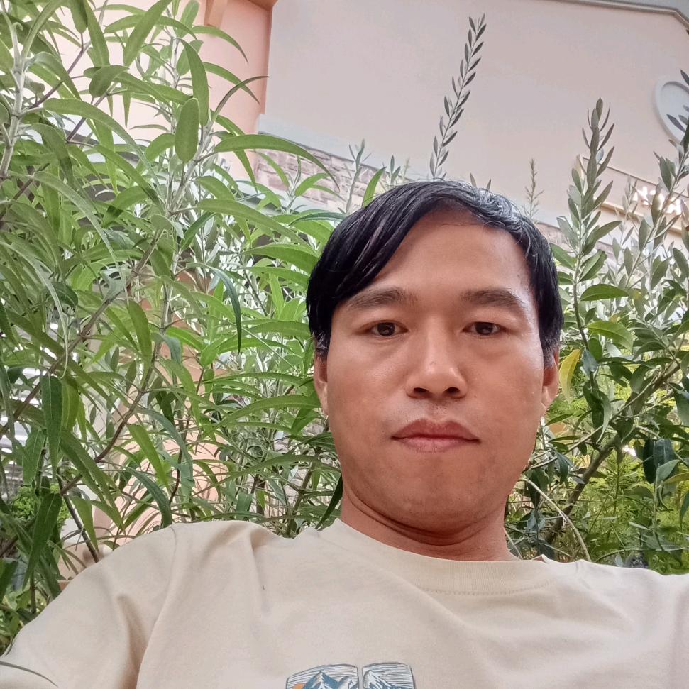 清静月光