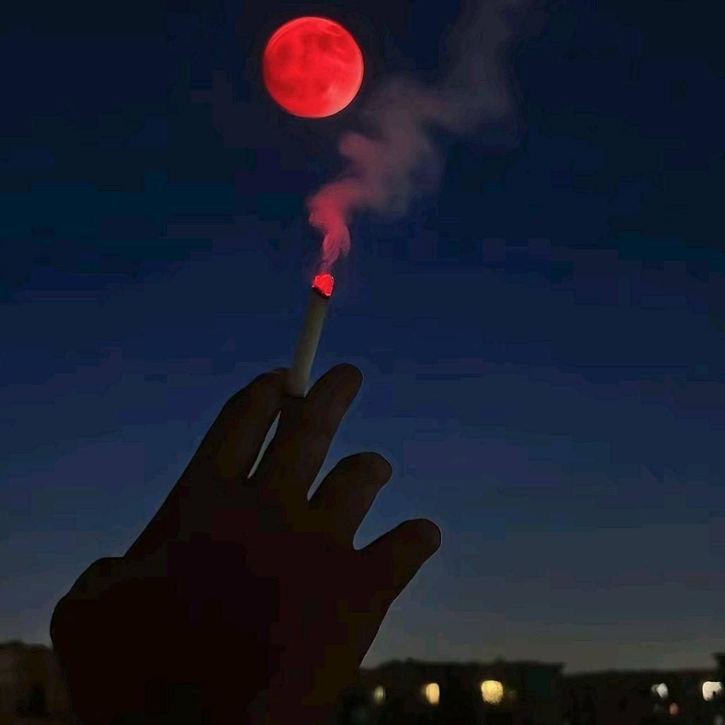 💞: ʚ💕遇̶见̶͜,x⁵²⁰