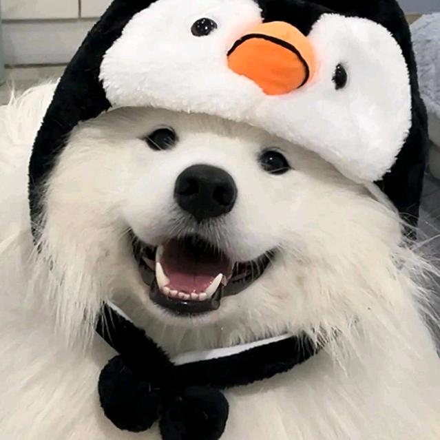 𝙈𝙖𝙠𝙖𝙗𝙖𝙠𝙖