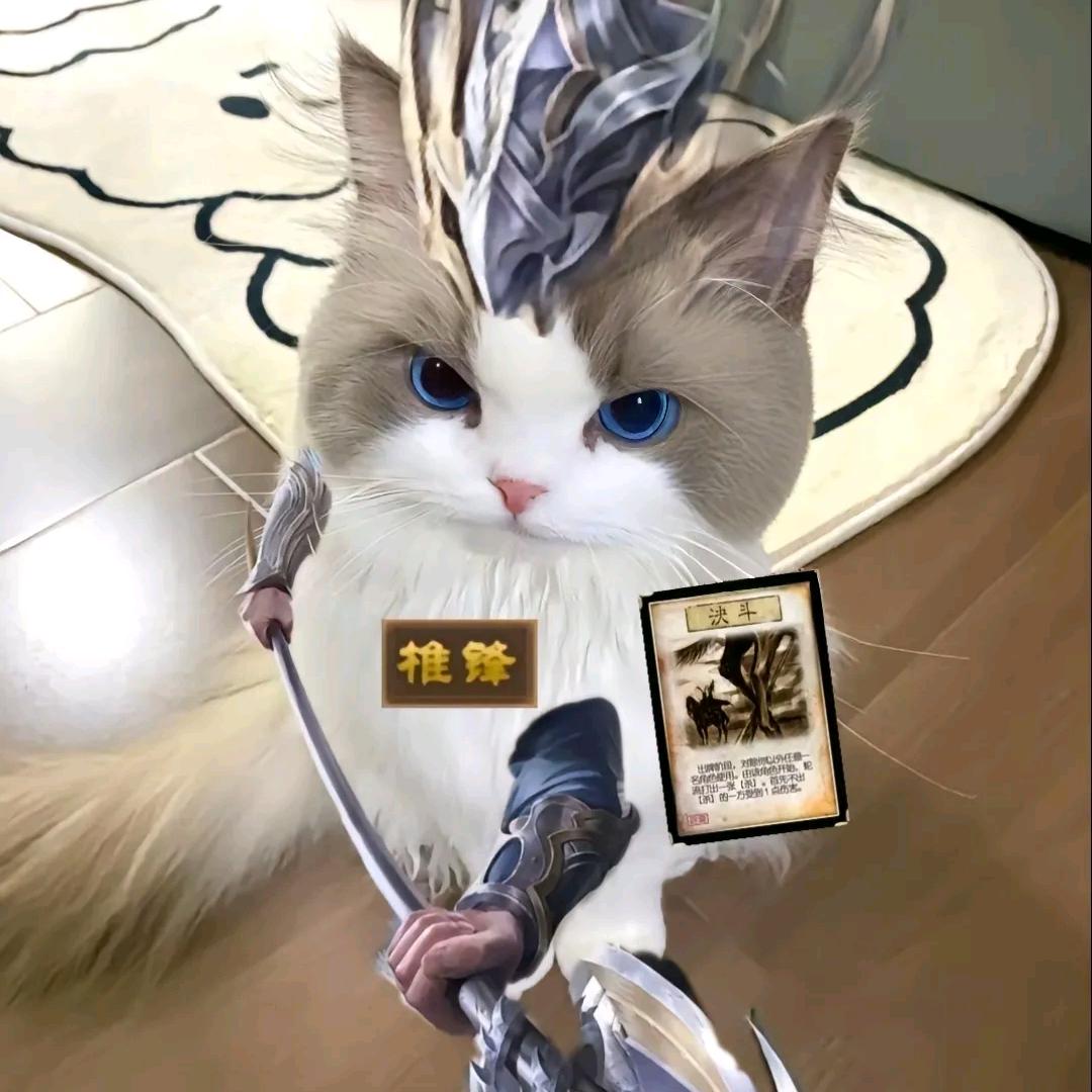 瞬