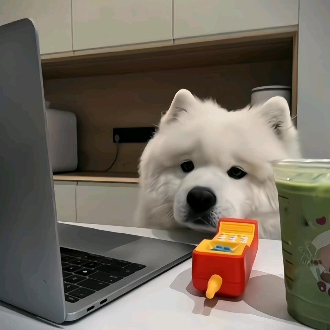 沙南林仔