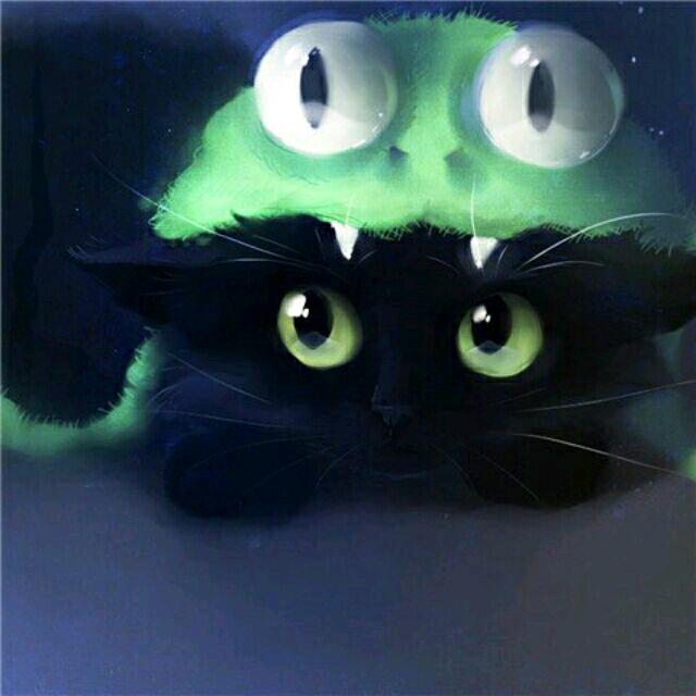 𝙕𝙄𝙆𝘿¹³