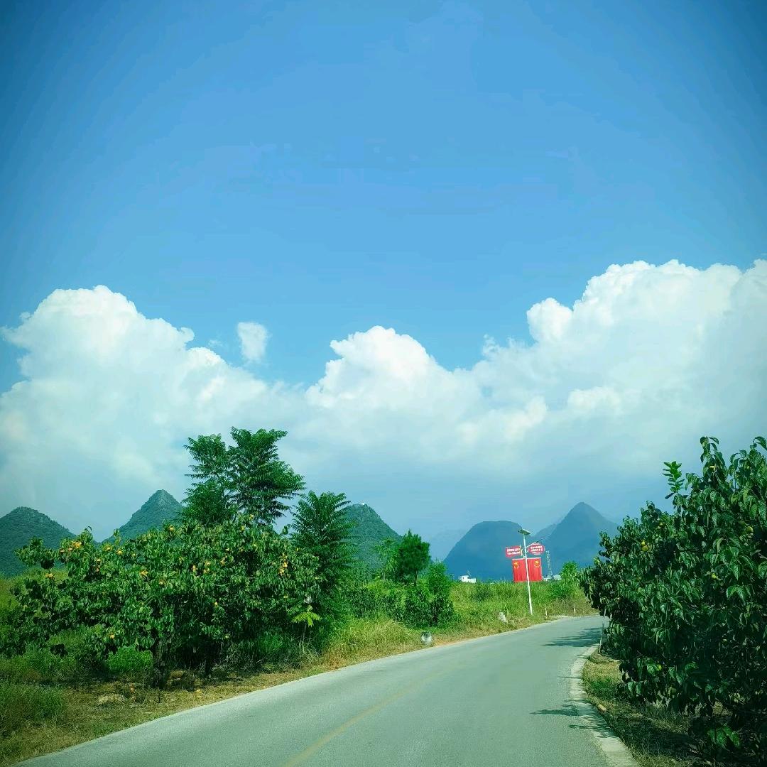 🇨🇳一米阳光