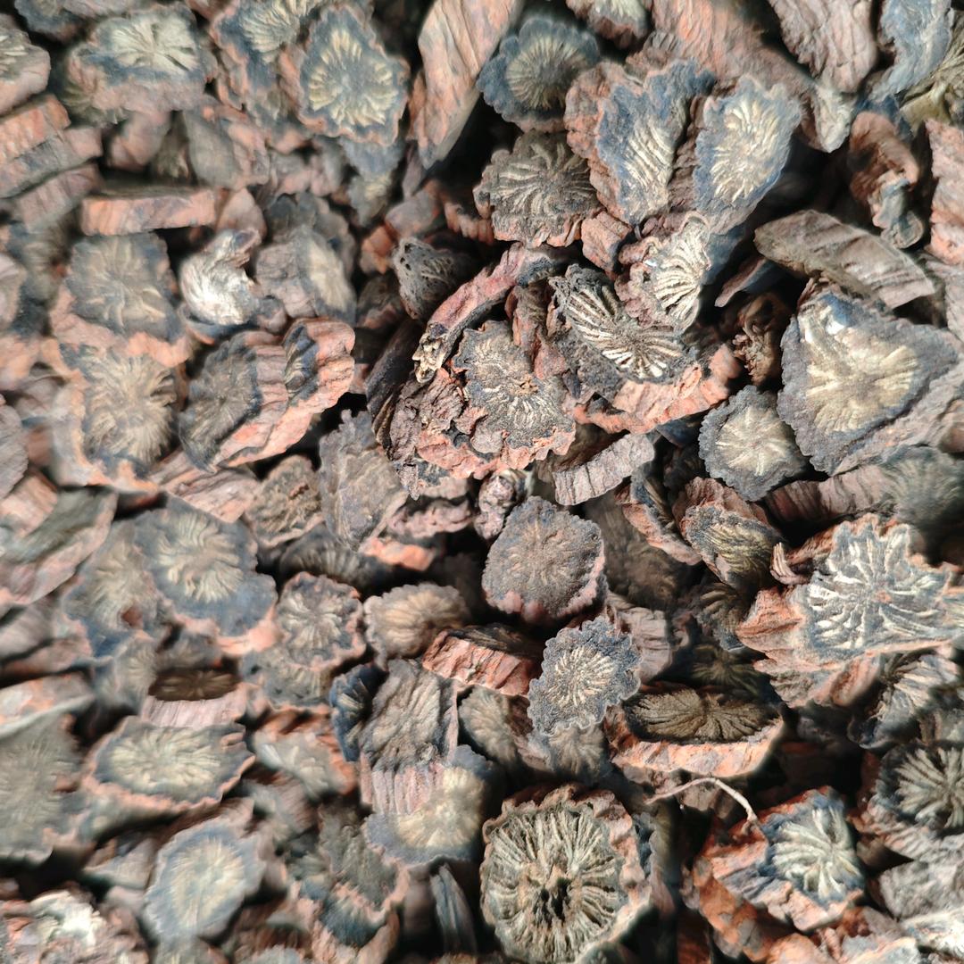 秦岭源头臻选