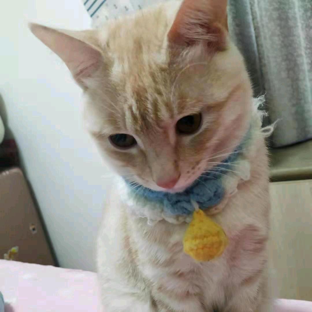用户1276615590026平凡