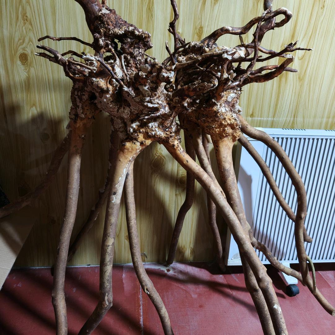 涞源县老侯工艺品店