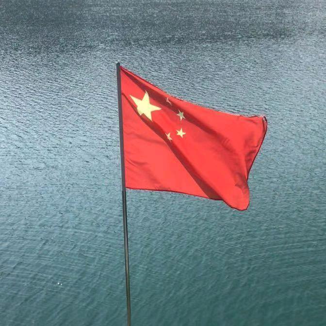 💕🐟养🐶小能手