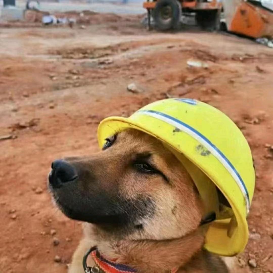 建筑资质小郭郭