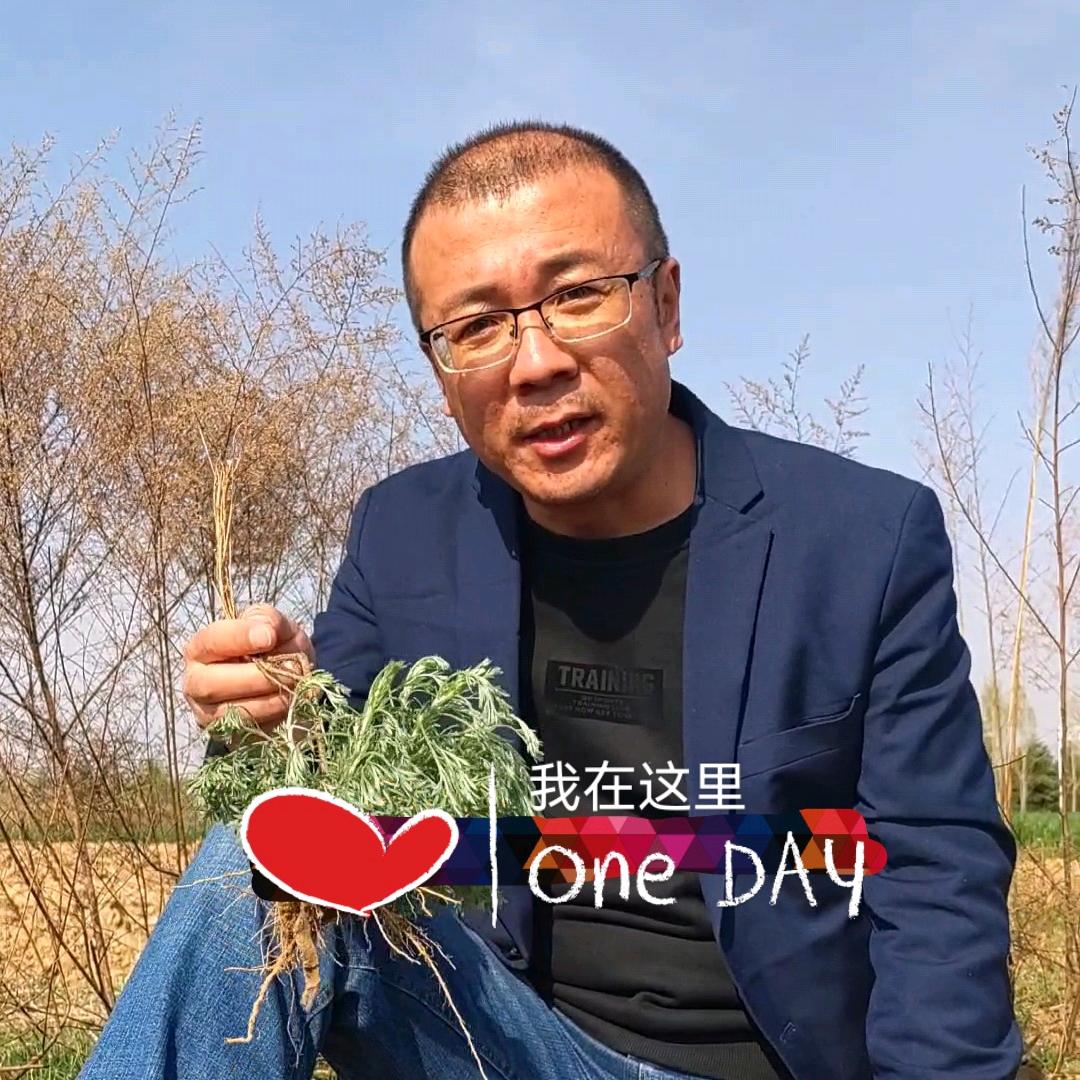 药材主任