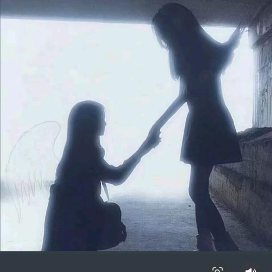 九命猫.-