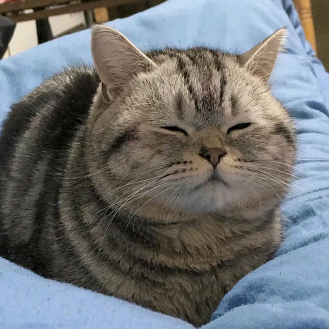 瓜瓜🍉.⁰⁷²⁹