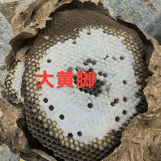 户外陶清杰