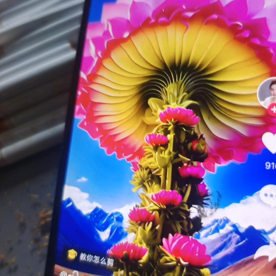 朋