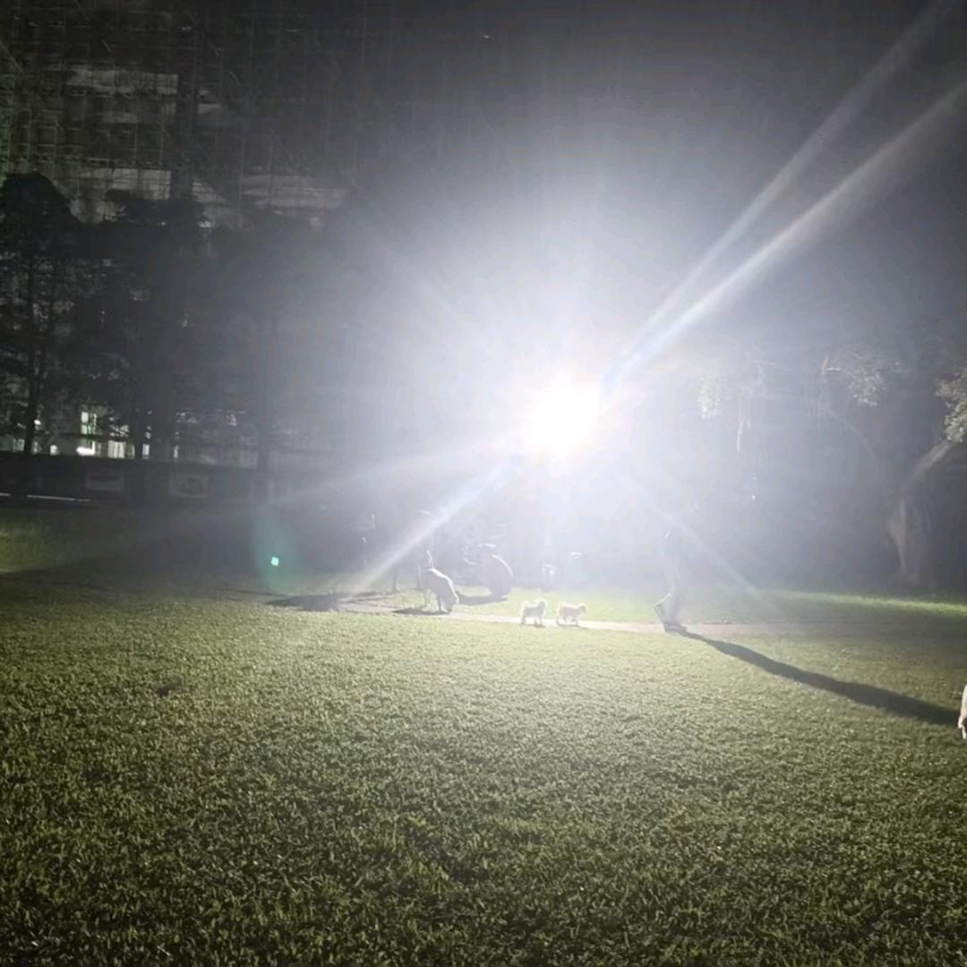 不值得为你流泪