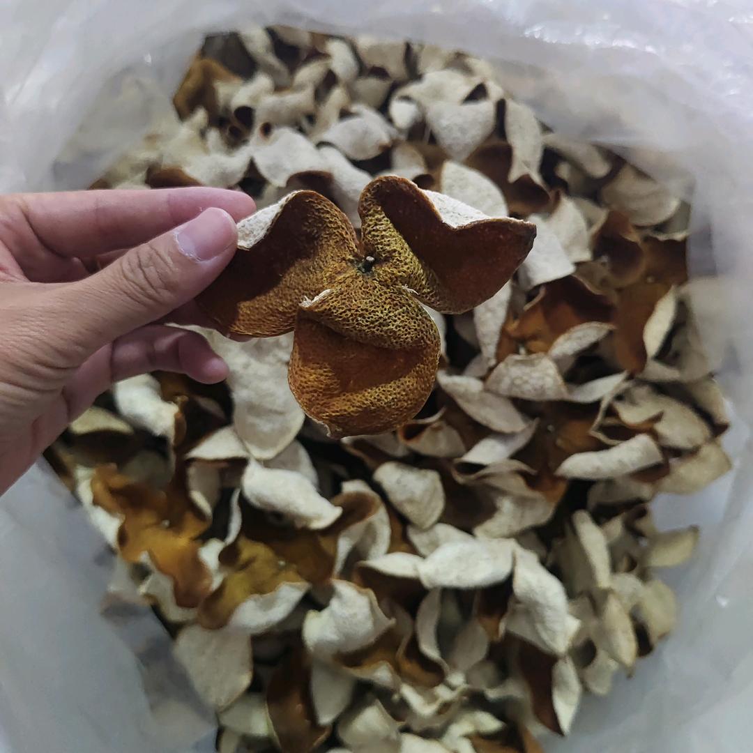 劳谦（广西陈皮）