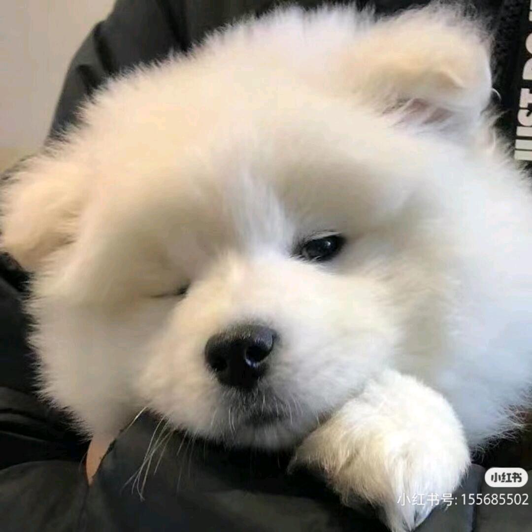 三月