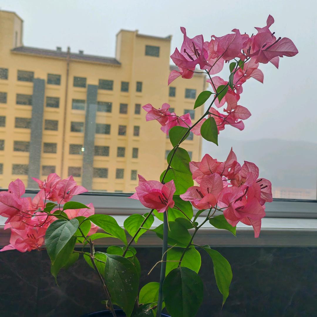 1辈子的幸福