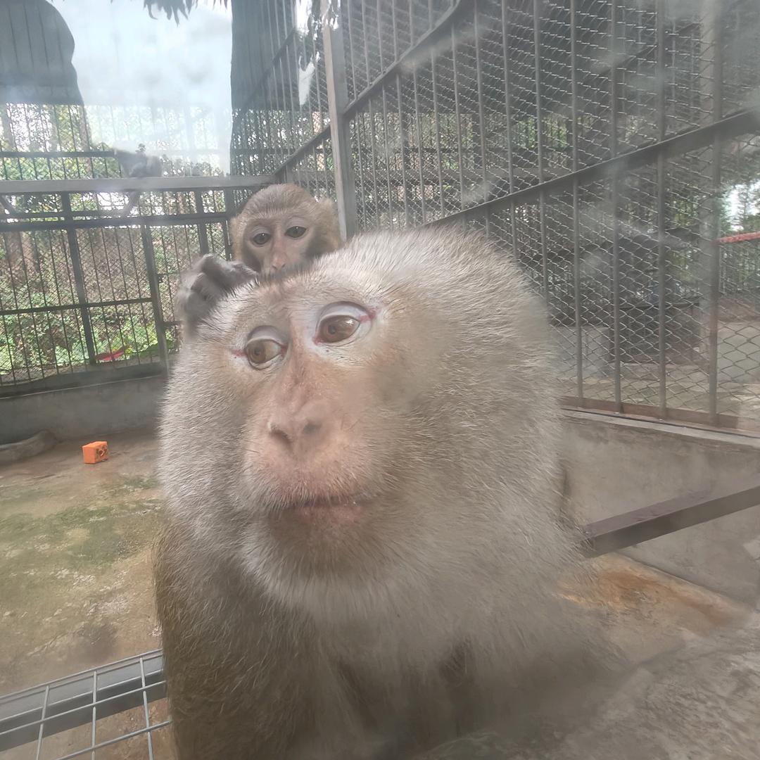 是小嘉不是小佳