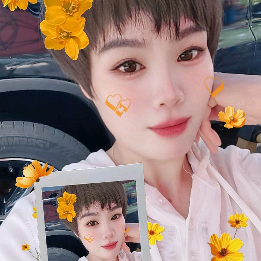 苍南清雅花卉